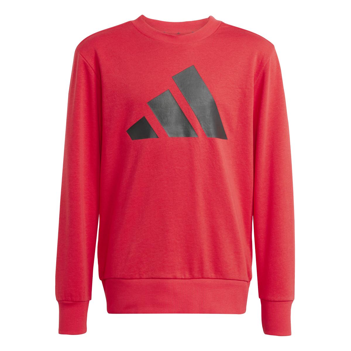 product/a/d/adidas_jd2099_purrub-black_1.jpg