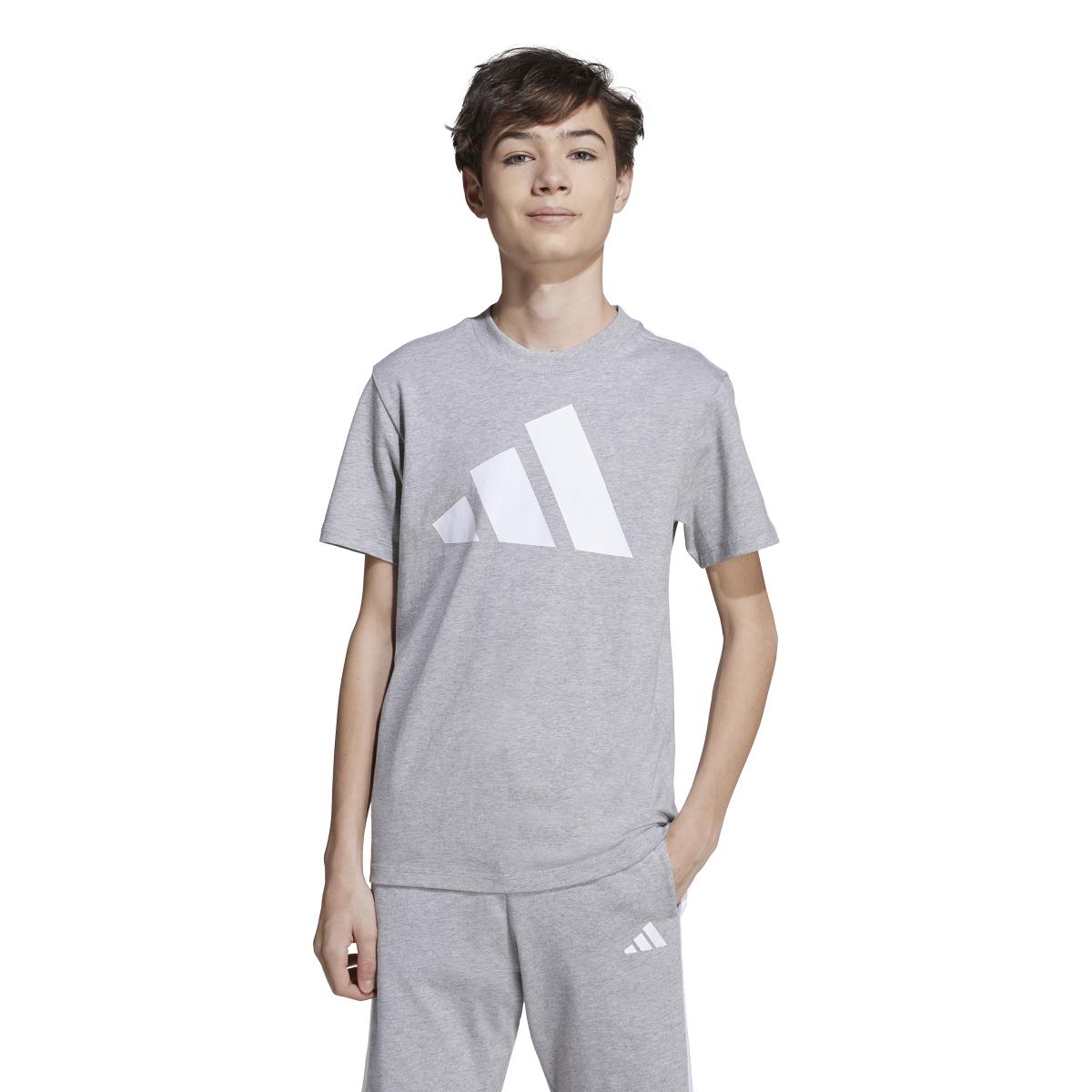 product/a/d/adidas_jv9869_grey_2.jpg