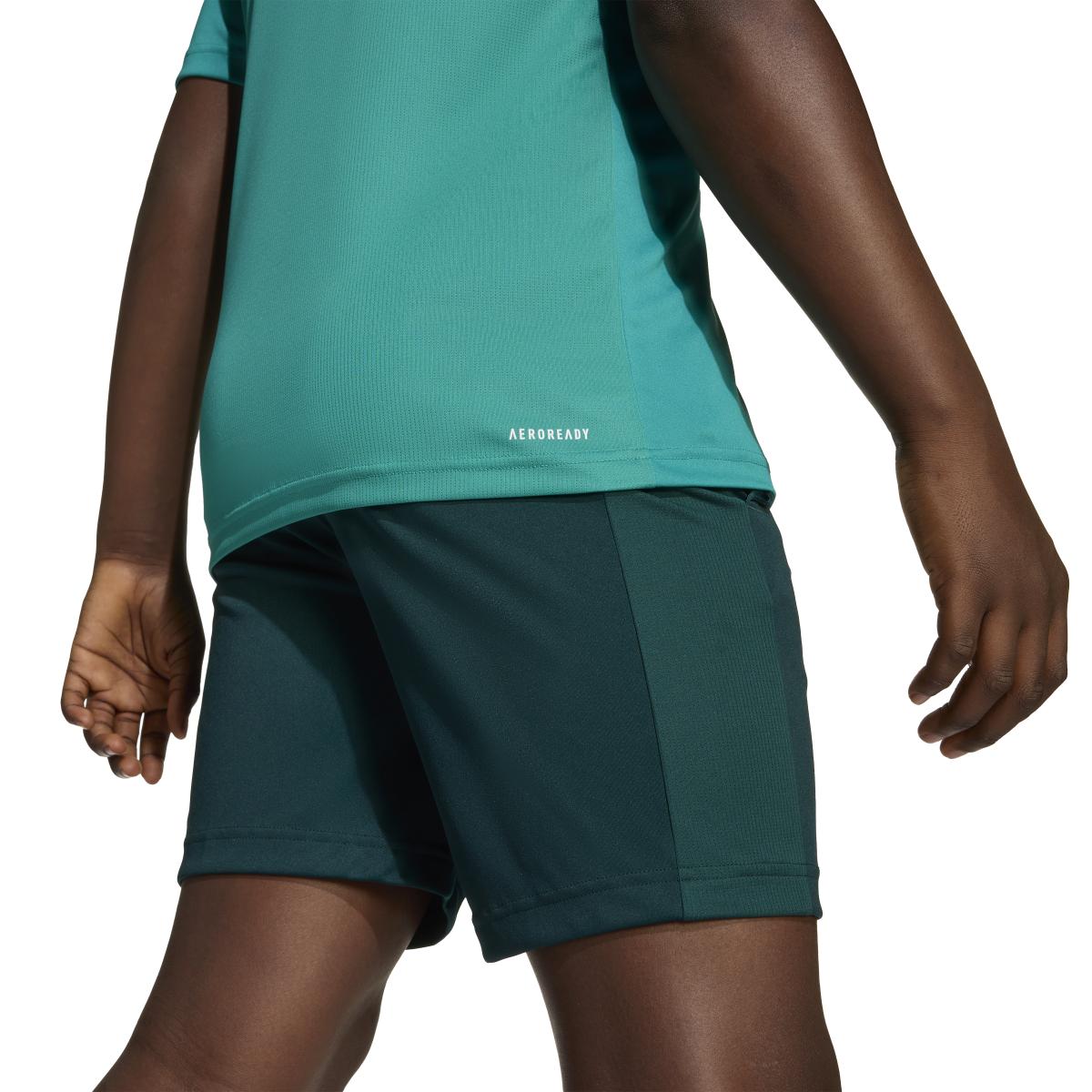 product/a/d/adidas_jw4991_pure-teal-white_6.jpg