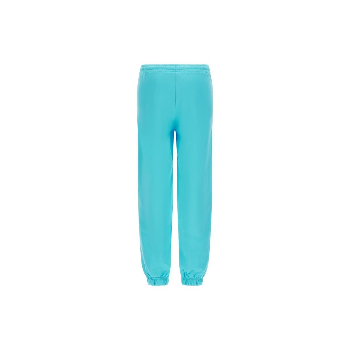 product/f/r/freddy_music1f301-t42_bachelor-button_4.jpg
