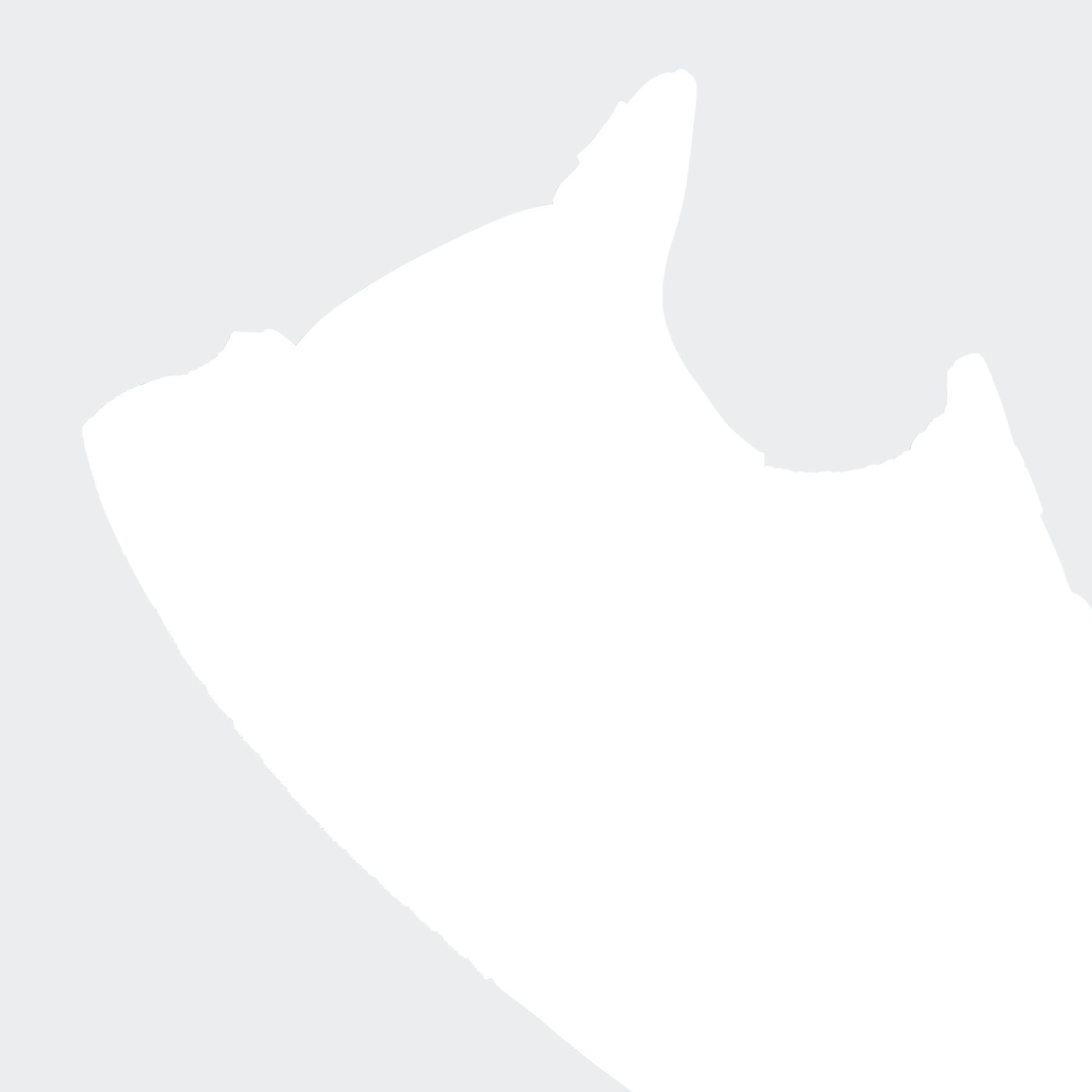 a/d/adidas_jq2919_9_footwear_photography_detail_view_2_white.jpg