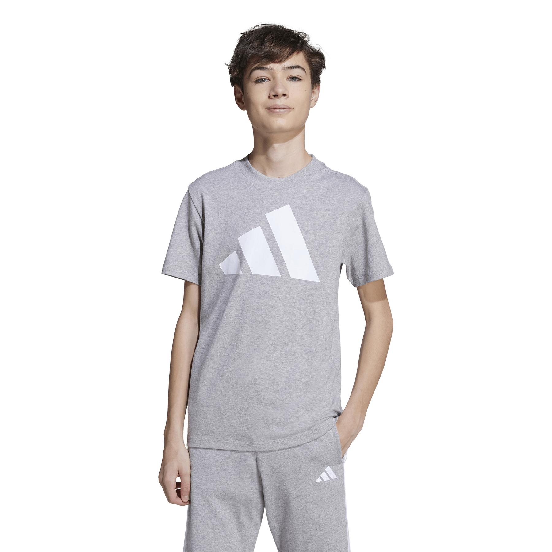 product/a/d/adidas_jv9869_grey_2.jpg