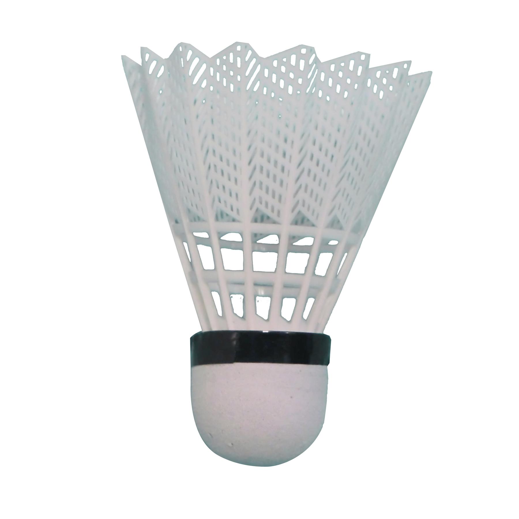 product/i/m/image_du_produit_tube_de_6_volants_entra_nement.jpg