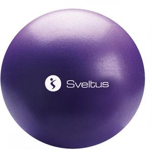 ballon-pedagogique-sveltus-violet