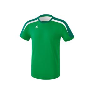 1081823-t-shirt-enfant-erima-liga-2-0-vert-blanc