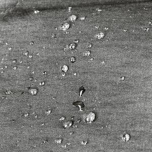 7/6/7605_40_p03.jpg