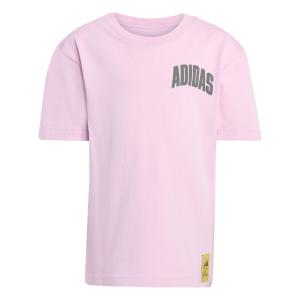 product/a/d/adidas_jm0831_trupnk_1.jpg