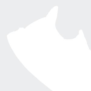 a/d/adidas_jq2919_9_footwear_photography_detail_view_2_white.jpg