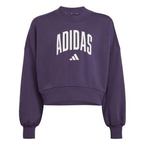 jv7379-sweatshirt-fille-adidas-essentials-collegiate-typography-aurplu-white