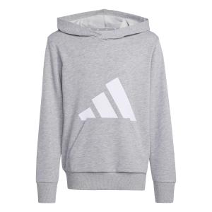 jv9900-sweatshirt-a-capuche-enfant-adidas-essentials-medium-grey-heather-white