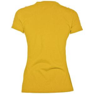 product/a/r/arena_001225-351_lily-yellow-white-lily-yel_2.jpg