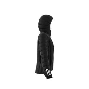 product/g/u/gu3957_app_virtual_3d-3_white.jpg