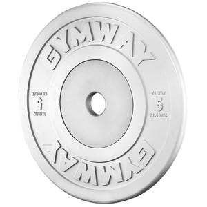 k9380-haltere-gymway-argente-45-cm