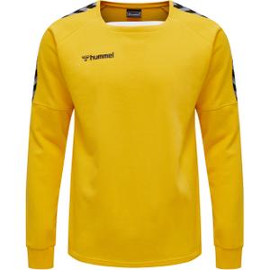 205373-5001-sweatshirt-hummel-hmlauthentic-training-jaune