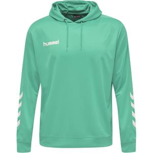 208317-6507-sweatshirt-a-capuche-hummel-hmlpromo-poly-vert-flash
