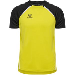 223740-5800-maillot-hummel-lead-2-0-blazing-yellow-black