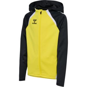 223760-5800-sweatshirt-a-capuche-zippe-enfant-hummel-lead-2-0-blazing-yellow-black