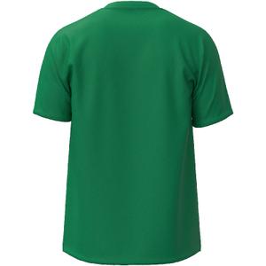 32eab56538-t-shirt-mizuno-team-core-green