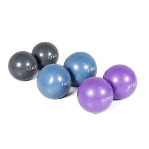 ba09101-ballon-d-entrainement-tono-o-live-fitness-x2-purple-9-5-cm