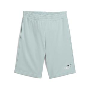 684715-67-short-puma-no-1-10-vert