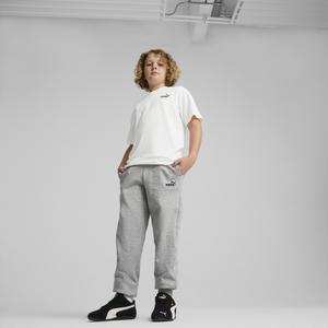 p/u/puma_684912-03_gray_3.jpg