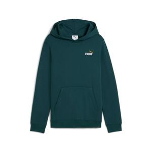 685825-75-sweatshirt-a-capuche-enfant-puma-essentials-2-green-terrain