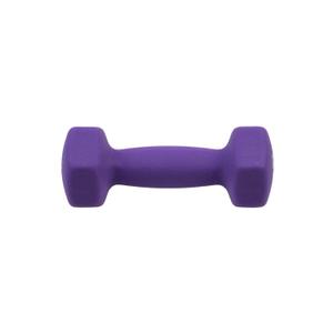 112001-3016-haltere-de-remise-en-forme-punch-purple-2-kg