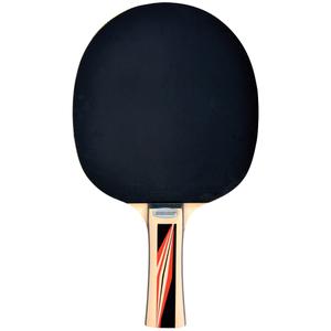 733236-raquette-de-tennis-de-table-schildkrot-top-teams-600-avs-grif-noir-tu