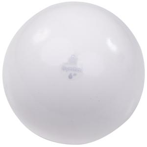 g4200-gym-ball-trial-blanc