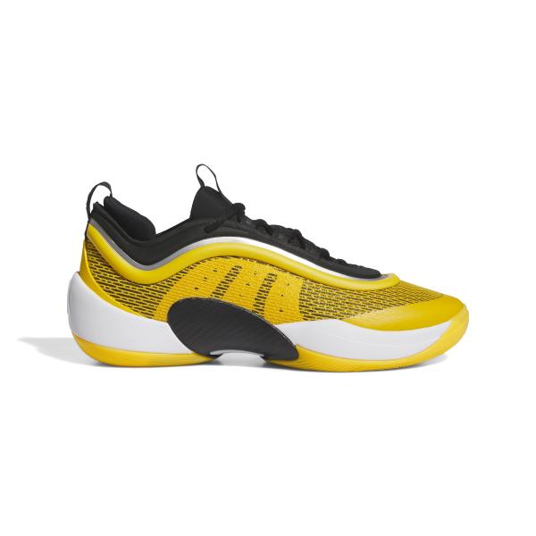 ig9103-chaussures-indoor-adidas-d-o-n-issue-6-tecogo-cblack-ftwwht